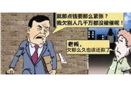 巴音郭楞要账公司更多成功案例详情